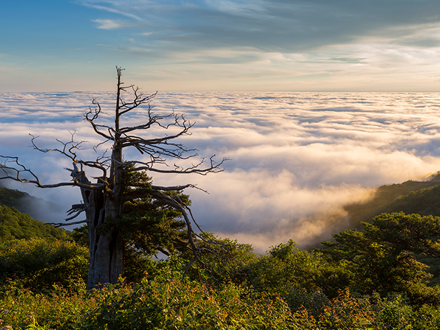 20201221131112_WVplJFsr.jpg_carousel_대전점잘보는곳_대전점잘보는곳,천지인,대전점집,대전신점,대전영점,대덕구점집,용한점집